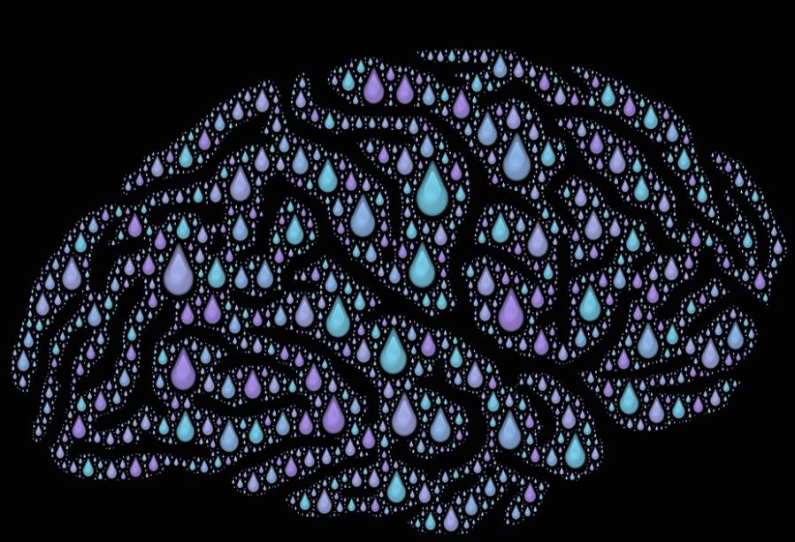 The Connection Between Dissociative Identity Disorder And Sex Trafficking Shared Hope 