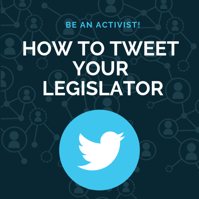 How to Tweet Your Legislator