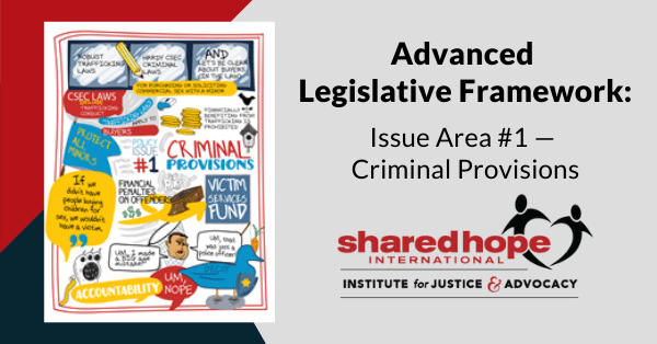 Advanced Legislative Framework: Issue Area #1 — Criminal Provisions