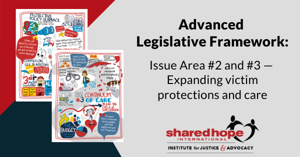 Advanced Legislative Framework: Issue Areas #2 & #3 - Expanding Victim Protections and Care