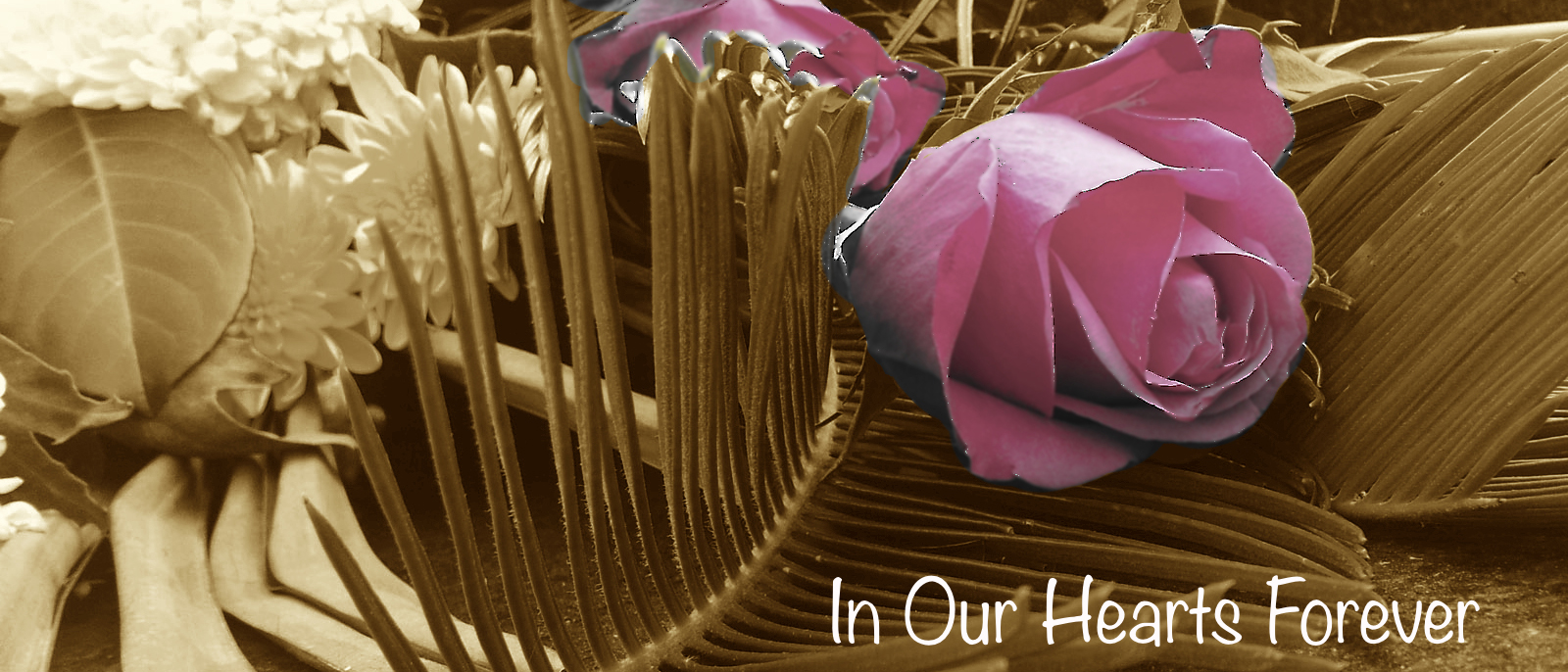 InOurHeartsNewtown